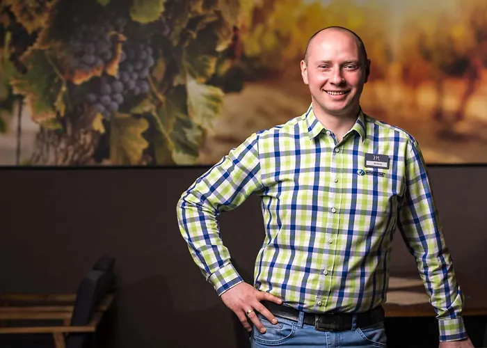 Отель Mercure Centrum